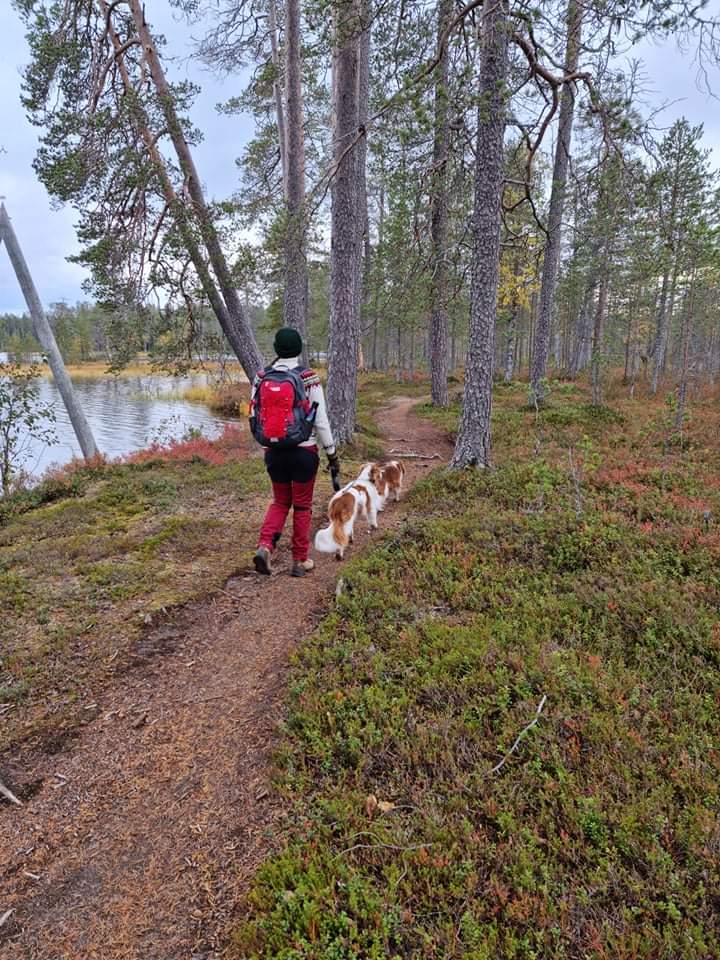 Nainen kävelyllä koiran kanssa metsässä.